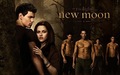 The Wolf Pack poster - twilight-series fan art