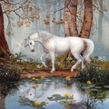 Unicorn's Reflection - unicorns photo
