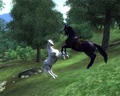 oblivion-elder-scrolls-iv - horse battle screencap