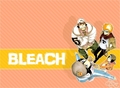 Bleach - bleach-anime photo