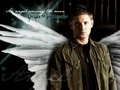 Dean - supernatural wallpaper