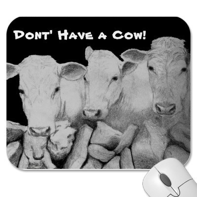  Don't have a Cow