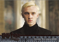 Harry Potter and the Half-Blood Prince Trading Card - harry-potter photo