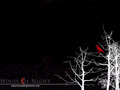 house-of-night-series - House Of Night.. wallpaper