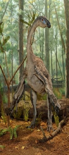  Kasey as a Beipiaosaurus