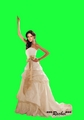 Kristen [Bella wedding dress] - twilight-series photo