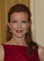 Marcia Cross - desperate-housewives photo