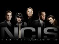 ncis - NCIS wallpaper