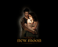 new-moon-movie - New Moon Wallpaper wallpaper
