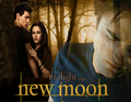 New Moon - twilight-obsessors fan art