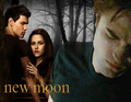 New Moon - twilight-obsessors fan art