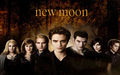 twilight-series - New Moon the Cullens wallpaper