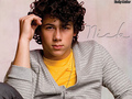 Nick Jonas - the-jonas-brothers photo