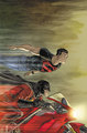 Red Robin and Superboy - dc-comics photo