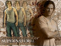 supernatural - Sam Wallpaper wallpaper