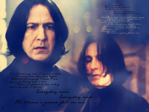  Severus Snape zl