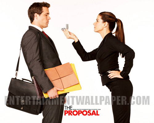  The Proposal