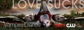 Vampire Diaries Promo Banner - the-vampire-diaries-tv-show photo