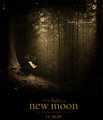 a new moon poster - twilight-series fan art