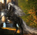 Magestic,Animated - unicorns photo