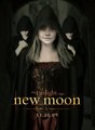 All About New Moon - twilight-series photo