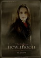Bella-New Moon - twilight-series photo