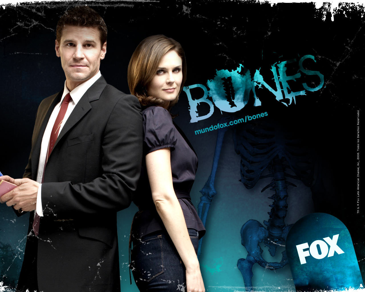 Bones-bones-6951021-1280-1024.jpg