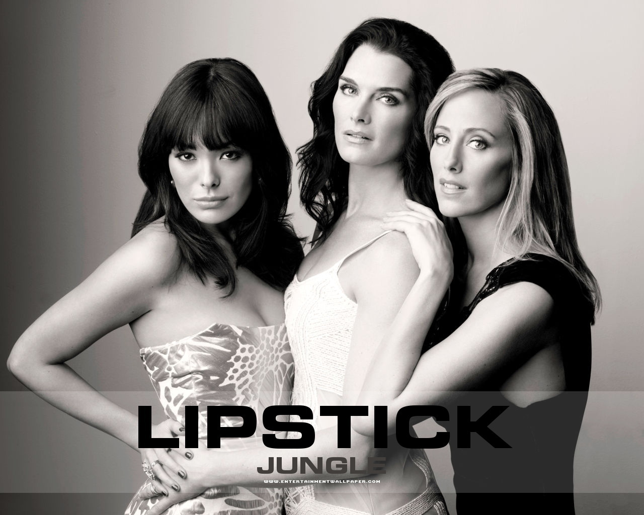 Download this Lipstick Jungle Wallpaper picture