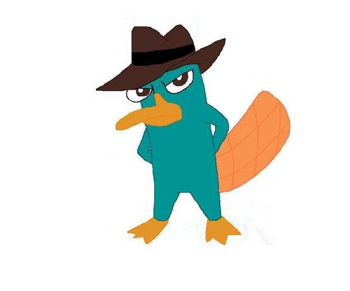  My drawing of Perry