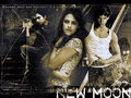 New Moon love triangle - twilight-series fan art