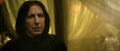 Severus Snape - The Half-Blood Prince - severus-snape photo