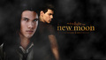 Twilight Saga Banners - twilight-series fan art