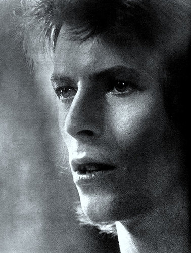  bowie