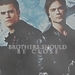 stefan and damon - the-vampire-diaries icon
