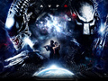 Aliens vs. Predator: Requiem - horror-movies wallpaper