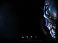 horror-movies - Aliens vs. Predator: Requiem wallpaper