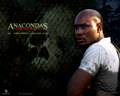 Anacondas: Hunt for the Blood Orchid - horror-movies wallpaper