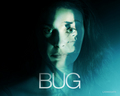 Bug - horror-movies wallpaper