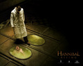 horror-movies - Hannibal Rising wallpaper