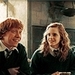 Harry Potter and the Half-Blood Prince! - harry-potter icon