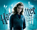 Harry Potter - movies wallpaper