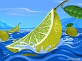 fruit - Lime Wallpaper wallpaper