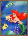 Little Mermaid - the-little-mermaid photo