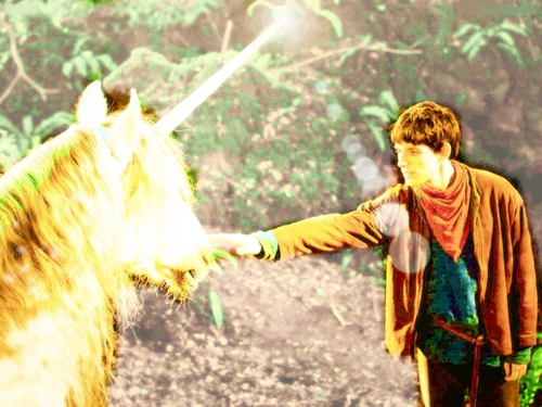  Merlin and the Unicorn
