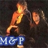  Merry & Pippin - A beautiful friendship