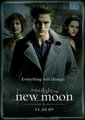 New Moon Posters - twilight-series fan art