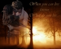 twilight-series - New moon - Edward and Bella wallpaper