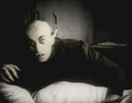 Nosferatu  - horror-movies photo