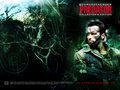 horror-movies - Predator wallpaper