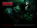 Predator - horror-movies wallpaper